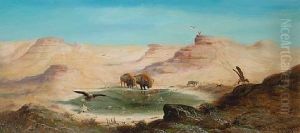 The Last Of The Buffalo by Astley David Middleton Cooper