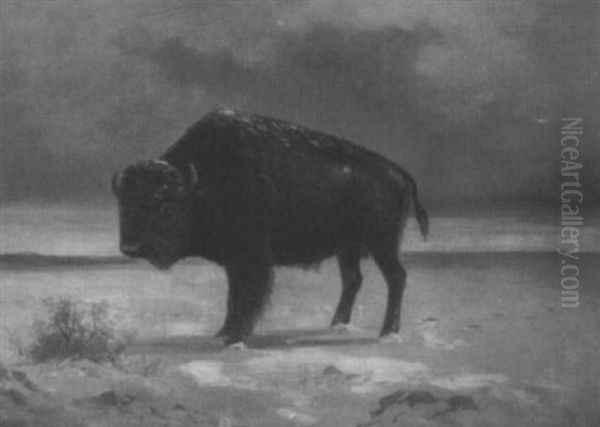 Panoramic Winter Landscape With Buffalo - view 1
