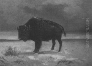 Panoramic Winter Landscape With Buffalo