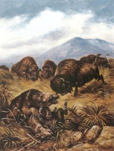 Angry Buffaloes by Astley David Middleton Cooper