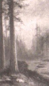 Redwood Forest by Astley David Middleton Cooper
