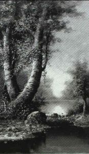 View Along The River's Edge