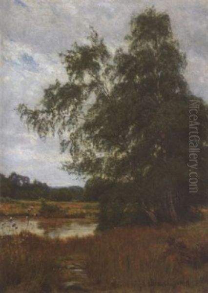 Baume Am Fluss - view 1
