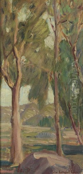 Eucalyptus Grove - view 1