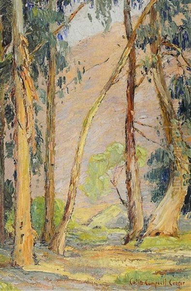 Untitled (redwood Grove) - view 1