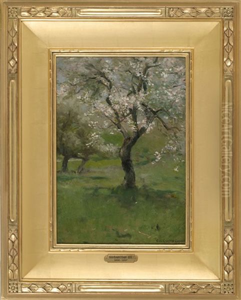 Apple Blossoms - view 1