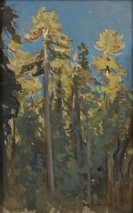 The Last Rays, Big Basin, Cal