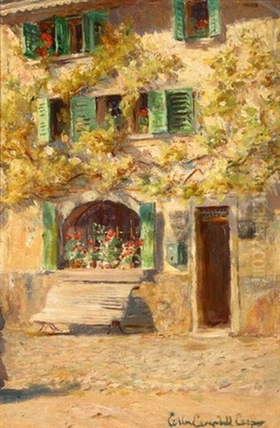 Flowered Villa - view 1
