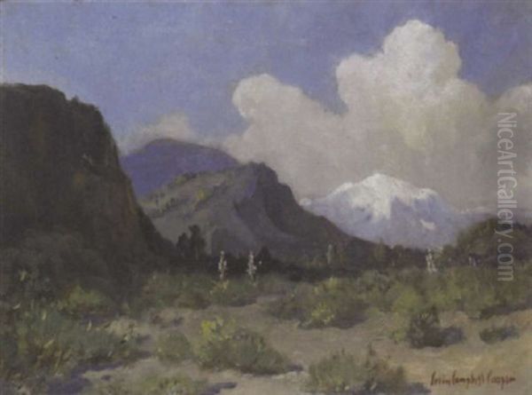 Nevada Mountains - view 1