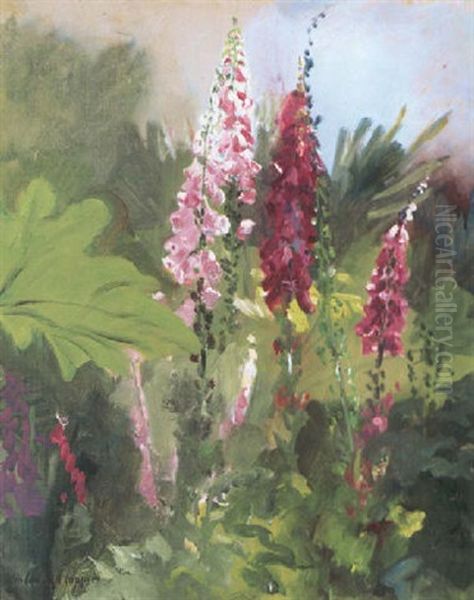 Foxgloves - view 1