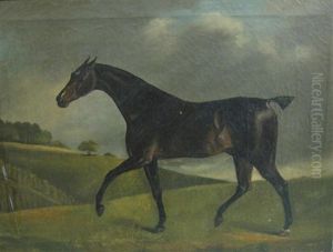 A Dark Bay Racehorse In A Landscape