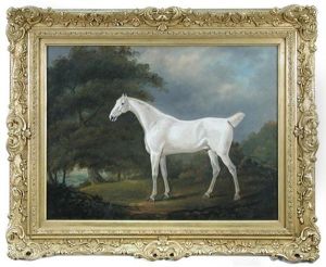 A Grey Horse In An Extensive Landscape