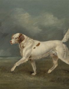 A Spaniel In A Landscape