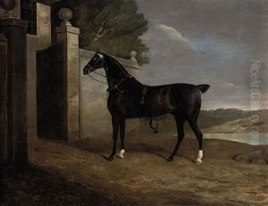 A Carriage Horse At The Stable Gates by Edwin Cooper