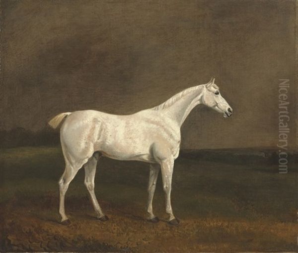 A White Stallion In A Landscape - view 1