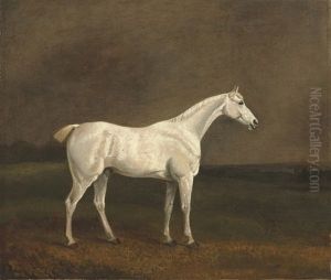 A White Stallion In A Landscape