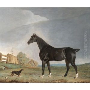 A Dark Bay Hunter And A Terrier In A Landscape