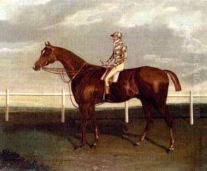 "barefoot" With Jockey Up