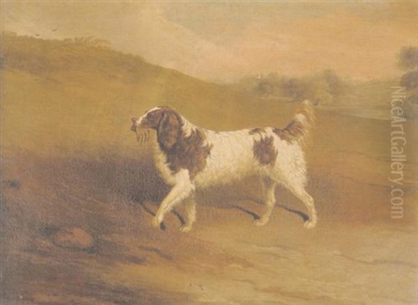 A Liver And White Spaniel In A Landscape - view 1