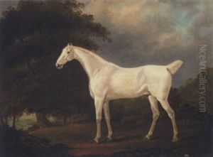 A Grey Hunter In A Wooded Landscape by Edwin Cooper