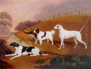 Three Games Dogs With A Pheasant In A Landscape by Edwin Cooper