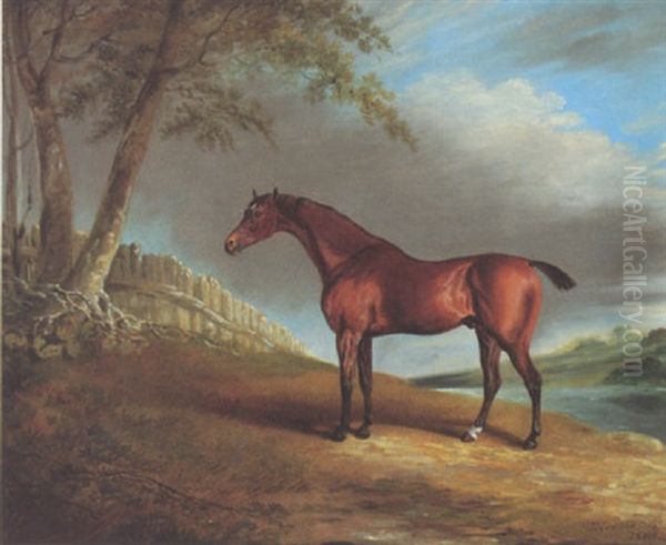 A Bay Hunter In A Landscape - view 1