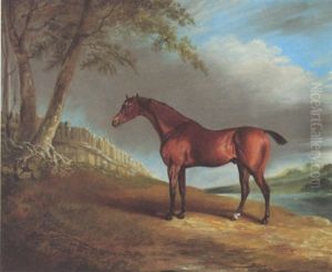 A Bay Hunter In A Landscape
