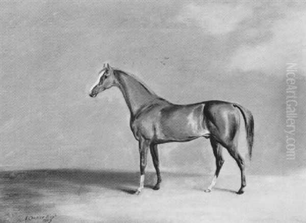 "quiz", A Chestnut Racehorse In A Landscape - view 1