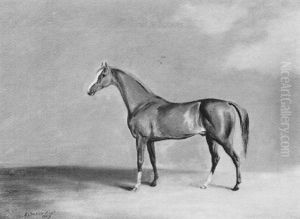 "quiz", A Chestnut Racehorse In A Landscape