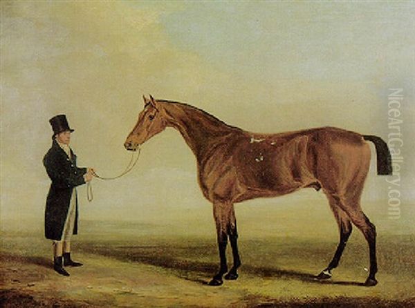 Banker, Racehorse Belonging To H.r.h. Duke Of York - view 1