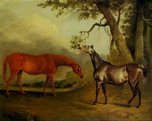 Portraits Of "persepolis" And "grey Duchess" - view 1