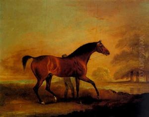 Podargus, A Bay Colt In A Landscape by Edwin Cooper