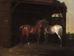 Chesnut And A Grey Hunter In A Barn by Edwin Cooper