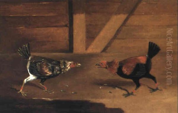 Two Fighting Cocks - view 1
