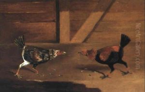 Two Fighting Cocks by Edwin Cooper