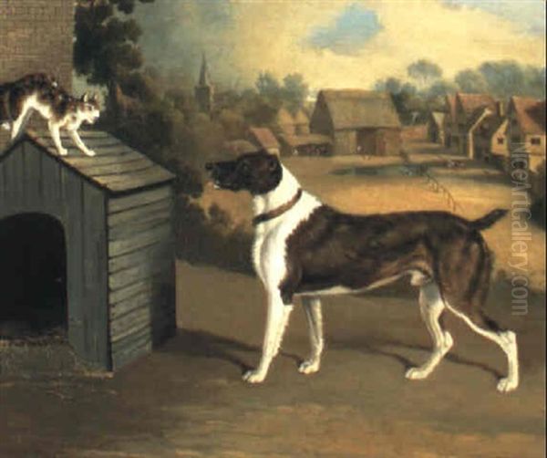 Dog Frightening A Cat On A Kennel Roof - view 1