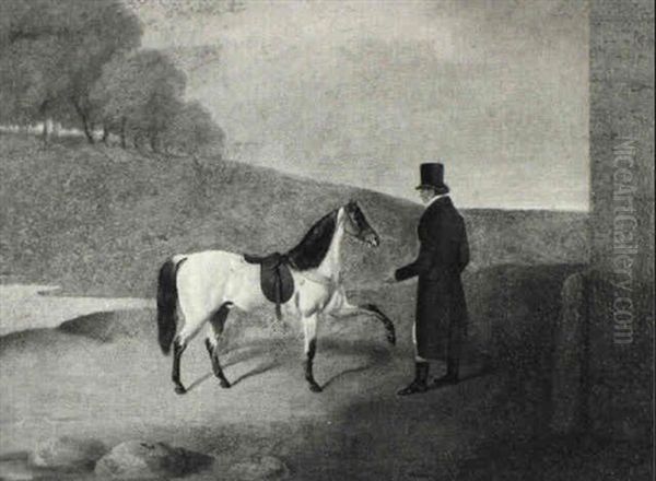 Portrait Of Bucephalus, The Property Of Henry Alexander Of Ipswich - view 1