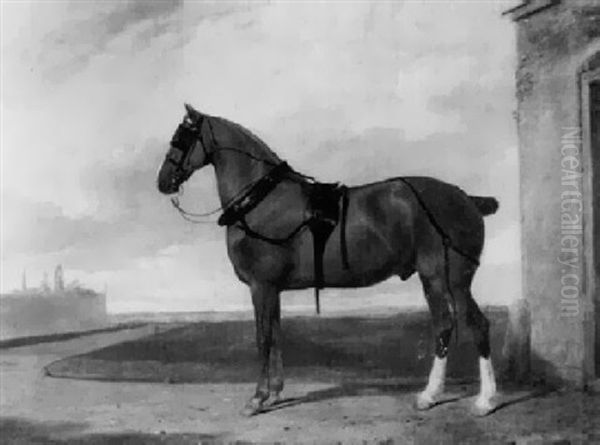 Carriage Horse On A Path By A Stable Door - view 1