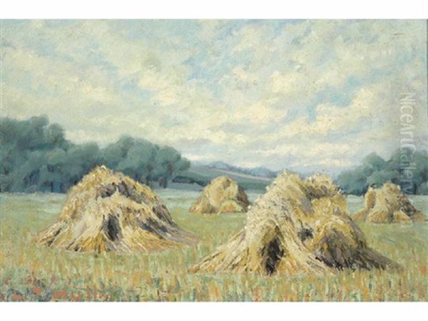 Grain Fields - view 1