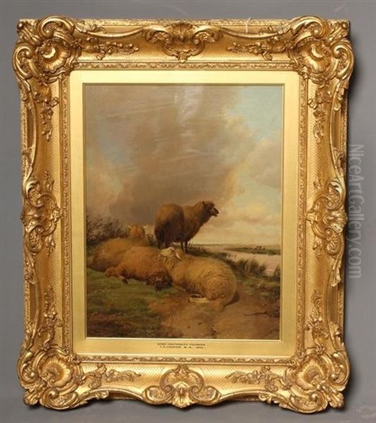 Sheep, Canterbury Meadows - view 1