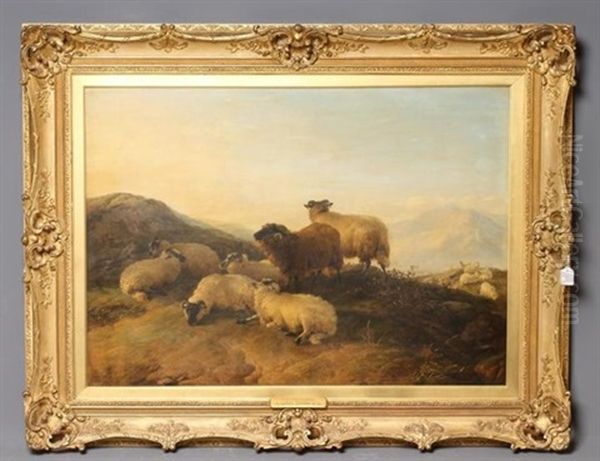 On The Hills Summertime, Sheep Reposing - view 1