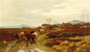 Off To The Pasture
