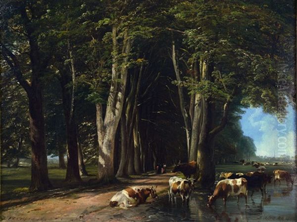 Cattle Watering By A Wooded Lane - view 1