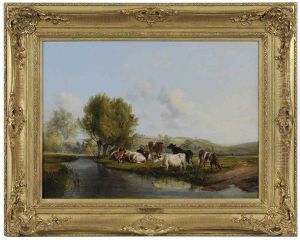 Cows Resting By A River Cows Resting By A River