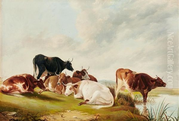 Cattle Resting By A River - view 1