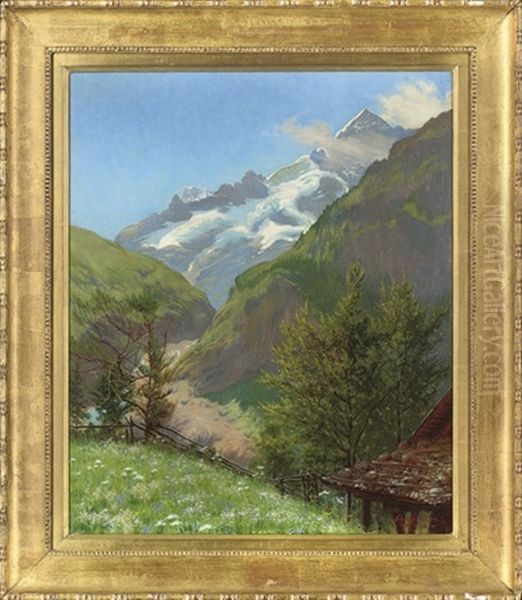 Spring Time In The Alps - view 1