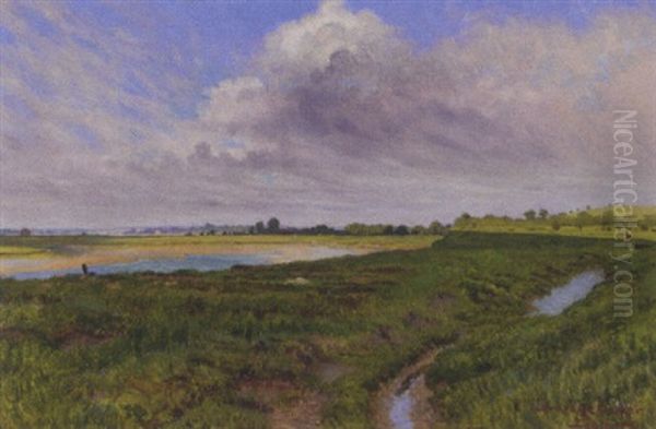 Across The Marshes - view 1
