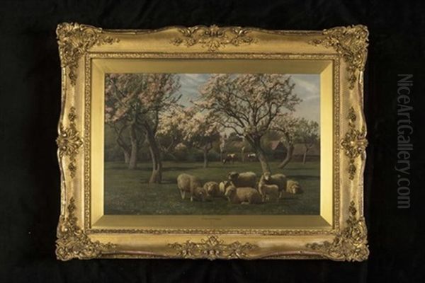 Sheep And Cattle In An Orchard In Spring - view 1