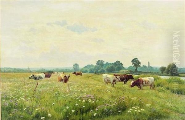 Broad Acres - view 1