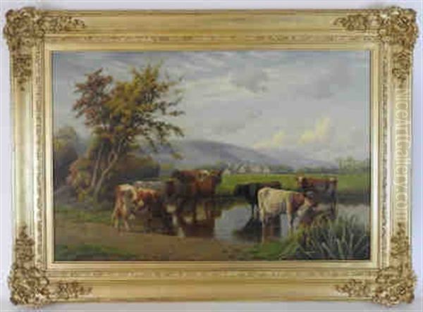 Cattle Watering In A Stream - view 1